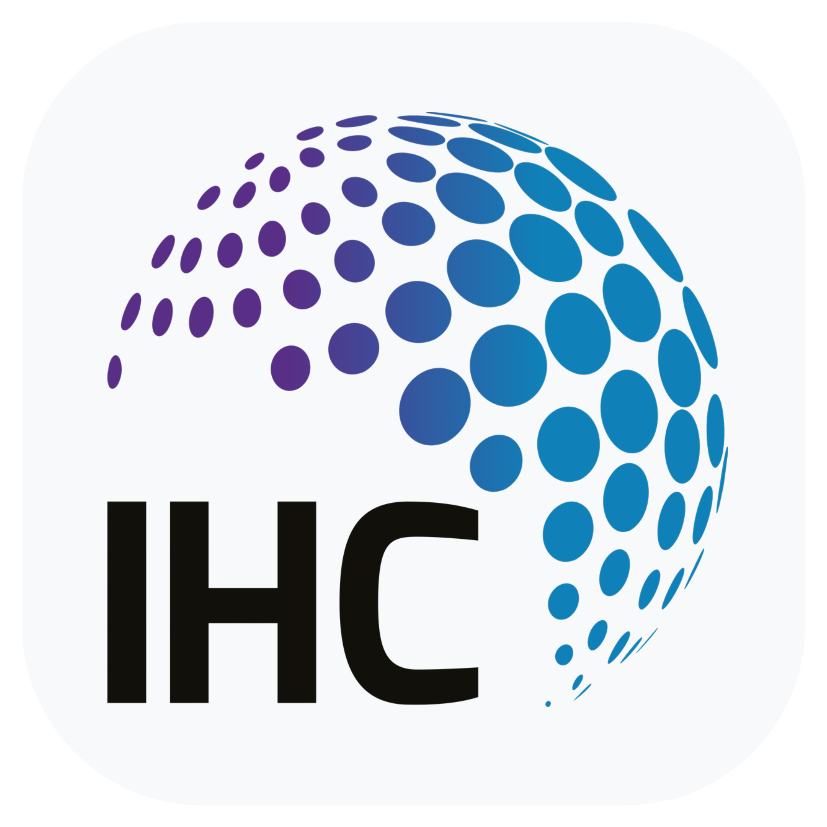 Intl Holding Company Logo